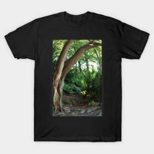 Bending trees T-Shirt